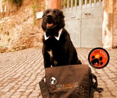 JMD Professionisti al vostro servizio