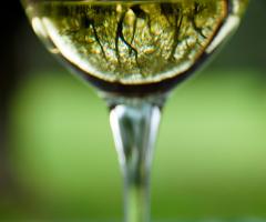 Fotografia del calice degli sposi