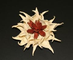 Fiore particolare realizzato con materiali di riciclo