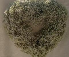 Cuore di fiori - Fioristi in Albaro di Pittaluga Zunino