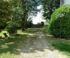 Il viale alberato che conduce alla Villa Casino Calvi