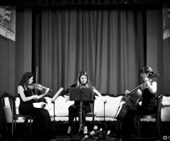 Musica per matrimoni - Musa - Quartetto d'archi femminile
