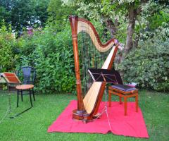 Il Frangipane - Wedding Planner & Events Organization - Struments