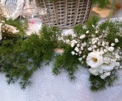 Il Crocus di Sabrina Di Maria - Il tralcio