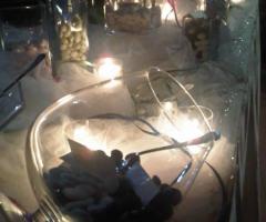 Bicchieri e vassoi per il tavolo degustazione confetti