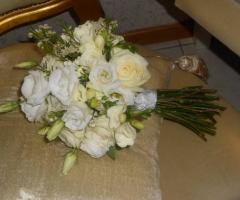 Il giardino di Venere