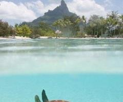 Viaggio di nozze in Polinesia