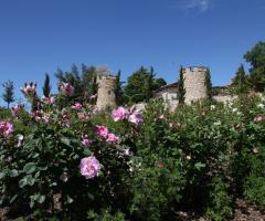 Le torrette dell'antica tenuta