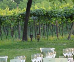 Cena aziendale in vigneto - Villa da Prato