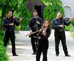 Musica e intrattenimento per il matrimonio