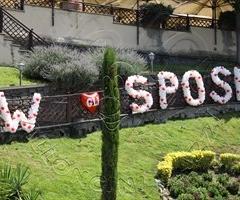 Scritta Viva gli sposi - Palloncini Pazzi