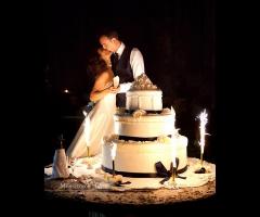 Wedding Cake - Camelia Wedding Planner