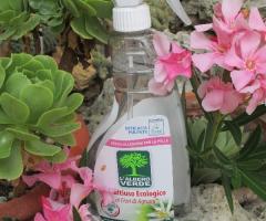 LA VIS di Simona Trentini - Impresa di pulizia per matrimoni