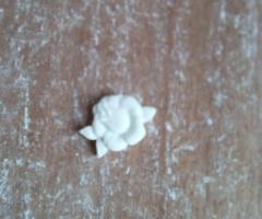 Fiori e... Gessetti Profumati - Fiori