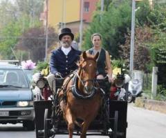 Carrozza con cavallo per il matrimonio