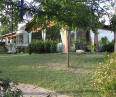 Il Bed&Breakfast immerso nella natura