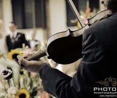 Gli Archimisti - Violino e sposi