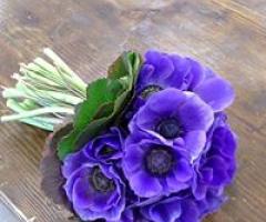 Catina Flora - Addobbi e allestimenti floreali per il matrimonio a Bergamo