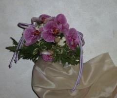 Orchidee per il matrimonio