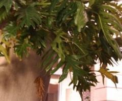 Location di nozze a Milano