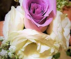 Fiori d'Autore by Cleme - la delicatezza