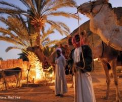 Viaggio di nozze in Egitto