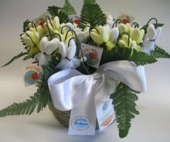 Cesto ciclamini - Global Humanitaria Italia Onlus