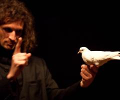 Sorprese magiche con le sue tortore