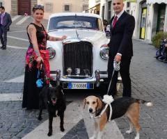 Wedding Dog Sitter con lo sposo e il suo cane by Le Cat & Dog Sitter Roma