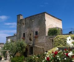 Tenuta Monacelli - La struttura a primavera