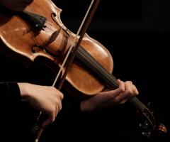 Violinista e Organista - Musica per la cerimonia e ricevimento