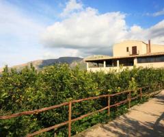 Una location immersa nel verde