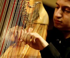 Mauro Liuzzi - Arpa per la cerimonia di matrimonio