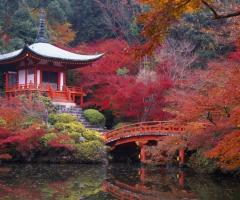 Asia... arte e cultura!