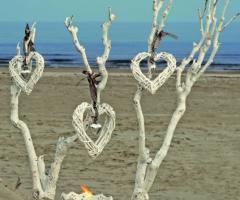 Tableau - Illumina Eventi