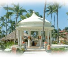 Organizzazione della cerimonia nuziale su un\'isola tropicale