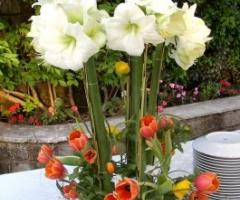 Verdeggiando - Addobbi floreali per il matrimonio a Roma