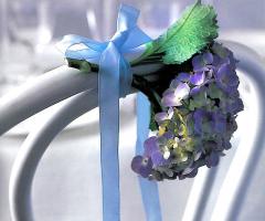 Ortensia viola per decorare le sedie del matrimonio