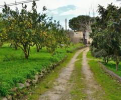 il parco circostante