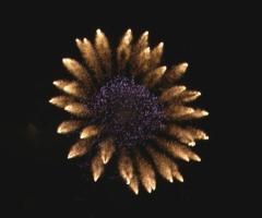 Spettacoli pirotecnici per le nozze - Effetto fiore