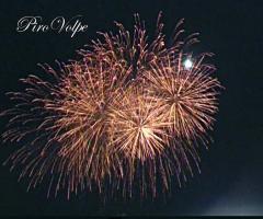 Fuochi d'artificio per il matrimonio - Pioggia di carbone