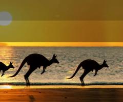 Australia il continente lontano che da sempre affascina.