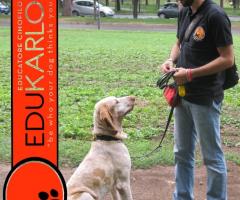 JMD Professionisti al vostro servizio