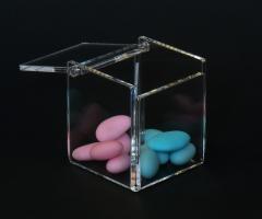 Scatola in plexiglass a 2 scomparti removibili