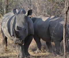 Orville Viaggi - Tour operator Sudafrica