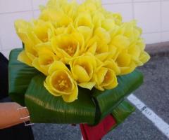 Magico Sì - Gli allestimenti floreali a Reggio Emilia