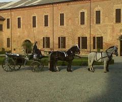 Azienda Marocco - Carrozza landau con cavalli ungheresi e frisoni