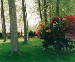 Grazioso dettaglio nel parco