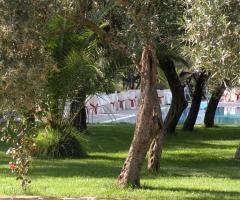 Ulivi secolari nel parco del borgo