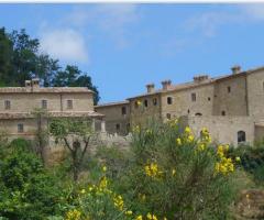 Agriturismo la Cisterna - Panorama
